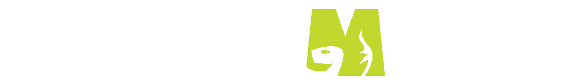 support banner township moedling